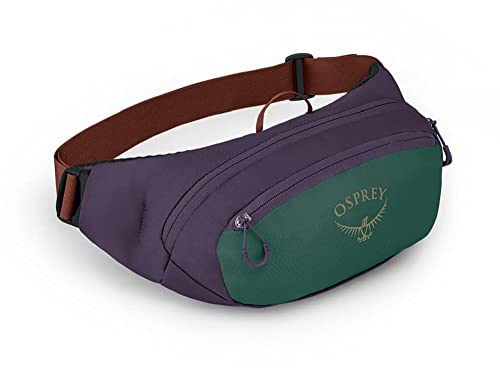 Osprey Europe Daylite Waist Bag, Unisex, AXO Green/Enchantment Purple, One Size