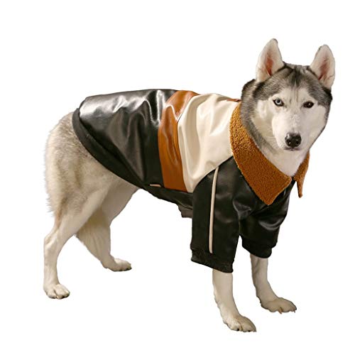 ZJX-F Ropa de Perros Grandes Golden Retriever Shiba Inu Bianmu Perro Grande de tamaño Mediano Invierno Calor Grueso Cotton Ropa de algodón otoño e Invierno Ropa (Size : 4XL-Bust 70-75cm)