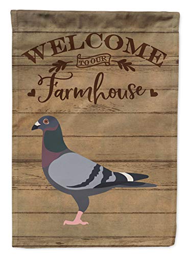 Caroline's Treasures CK6895GF Racing Pigeon - Bandera de bienvenida para jardín, tamaño pequeño, multicolor