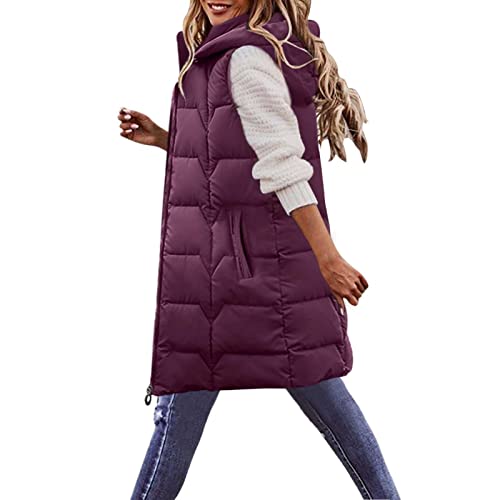 Dasongff Chaleco para mujer sin mangas otoño – abrigos para mujer de invierno chaqueta cortavientos, chaqueta sin mangas para mujer, negro, chaqueta de moto, talla grande, abrigo térmico, 2 morado,